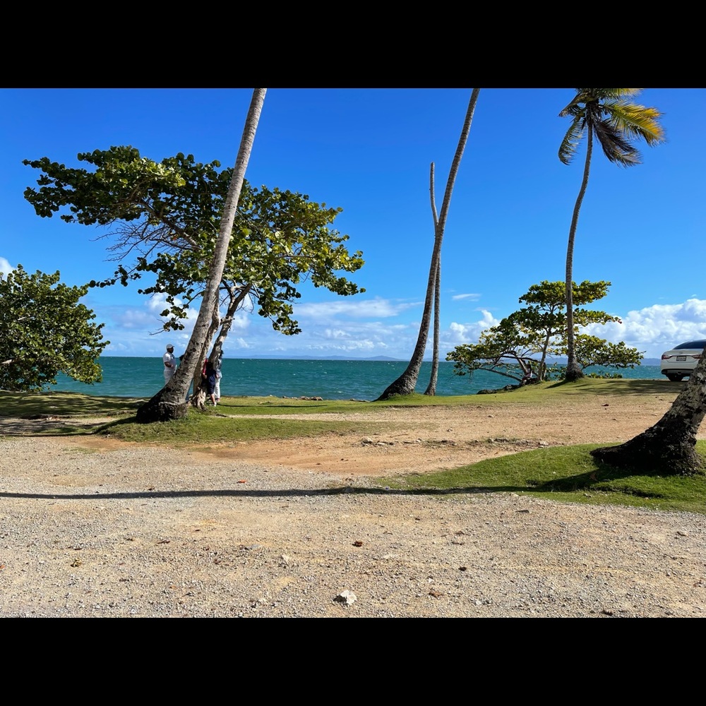 Meet your Posher, Jazmin